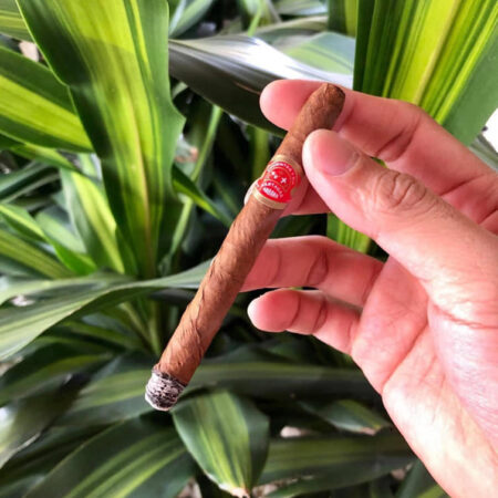 Xì Gà Partagas Chicos-Hộp 25 Điếu 14 Xi Ga Partagas Chicos Hop 5 Dieu.6 1