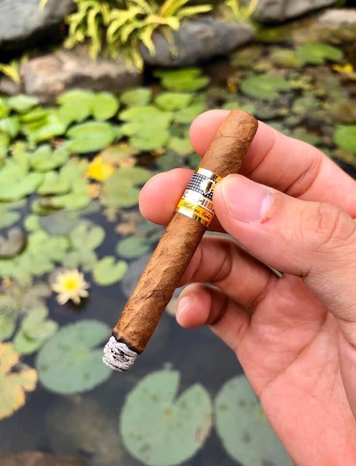 Xì Gà Cohiba Short 88 Year Of The Dragon-Hộp 88 Điếu (2024) - Shop