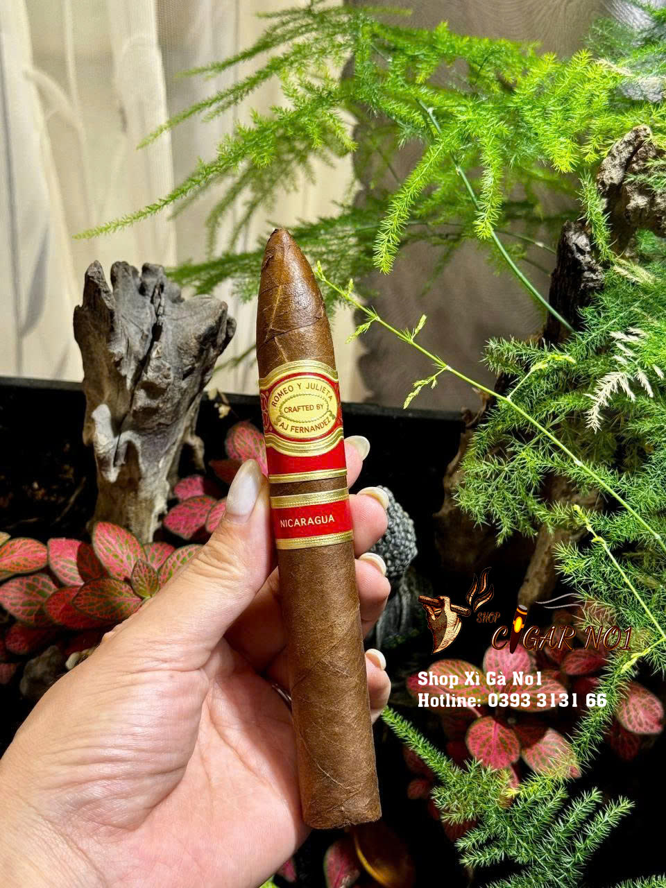 Xì Gà Romeo Y Julieta Crafted By AJ Fernandez Belicoso-Hộp 20 Điếu 10 Xì Gà Romeo Y Julieta Crafted By AJ Fernandez Belicoso-Hộp 20 Điếu.9