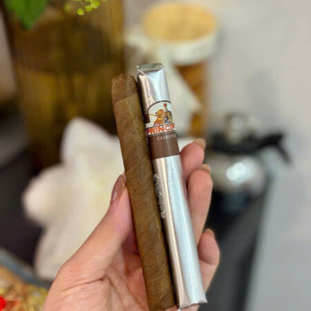 Xì Gà La Aurora Principes Corona Brown Hộp 25 Điếu 6 Xi Ga La Aurora Principes Corona Brown Hop 25 Dieu Gia Re.4