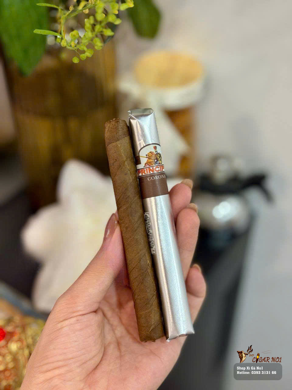 Xì Gà La Aurora Principes Corona Brown Hộp 25 Điếu 10 Xì Gà La Aurora Principes Corona Brown Hộp 25 Điếu Giá Rẻ.4