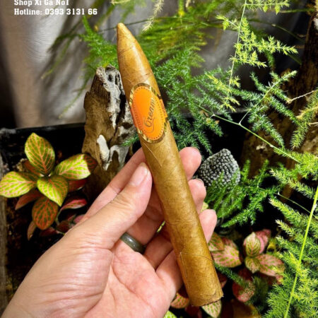 Xi Ga Nicaragua Cream Torpedo Box 20 Dieu.11