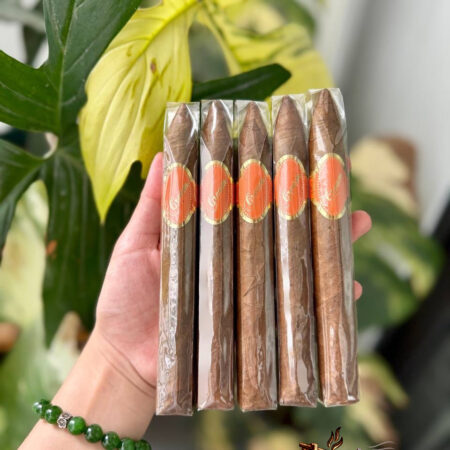 Xi Ga Nicaragua Cream Torpedo Box 20 Dieu.12